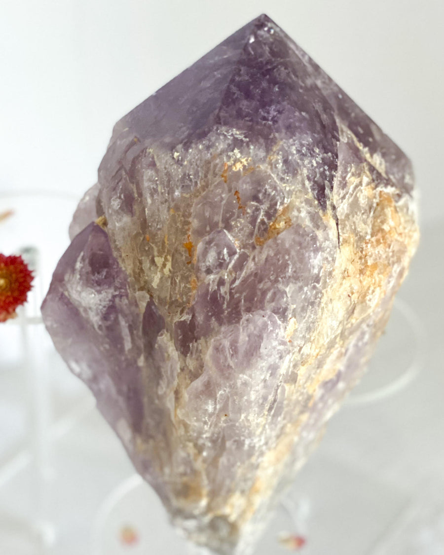 Natural Amethyst Backbone Obelisk Quartz Crystal Point ♢♢ Large