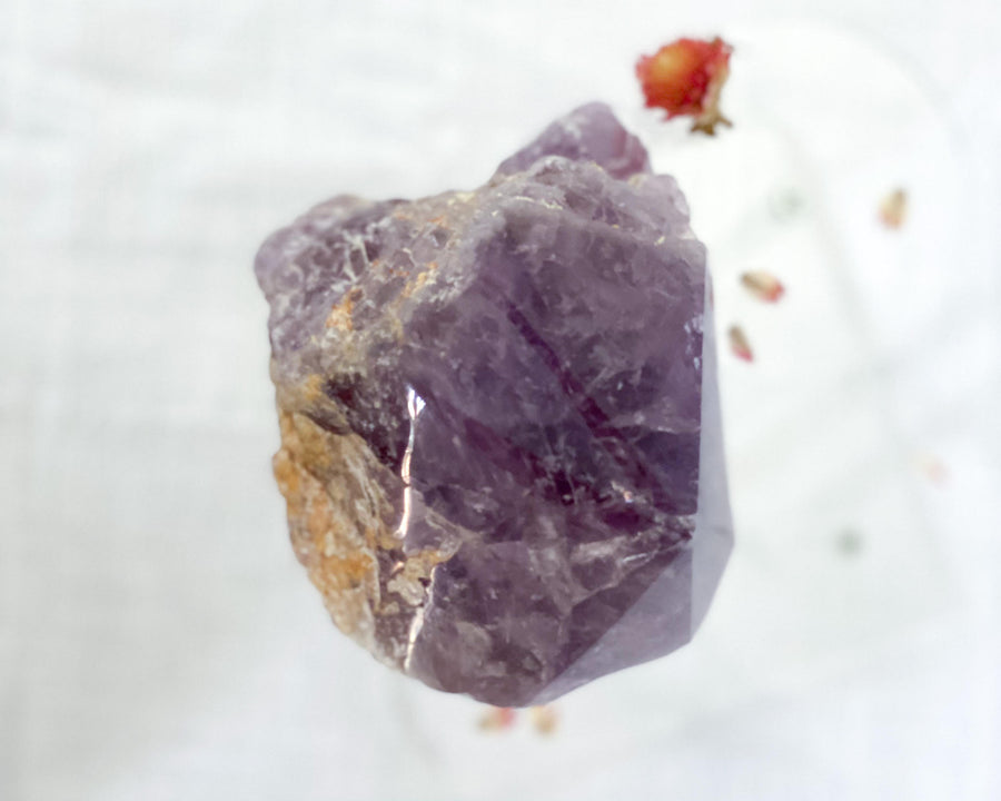 Natural Amethyst Backbone Obelisk Quartz Crystal Point ♢♢ Large