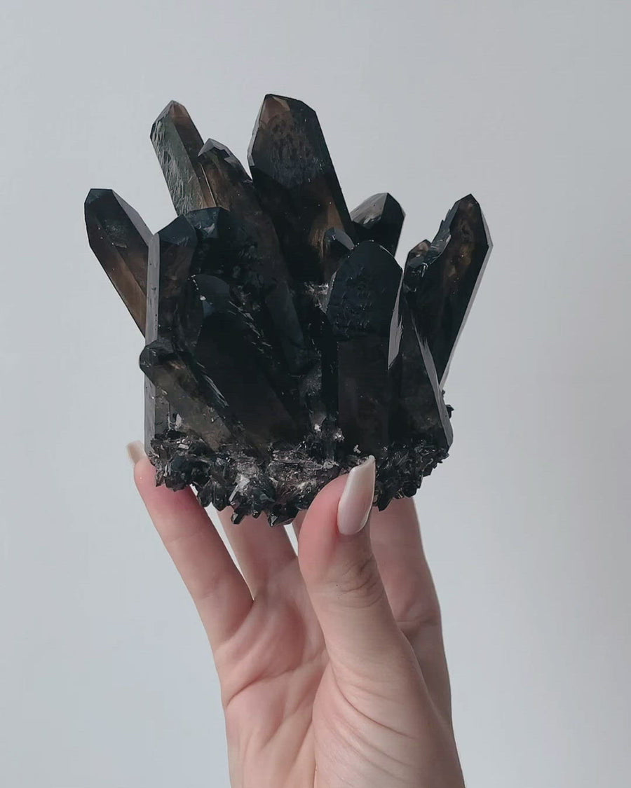 Smoky Quartz Cluster