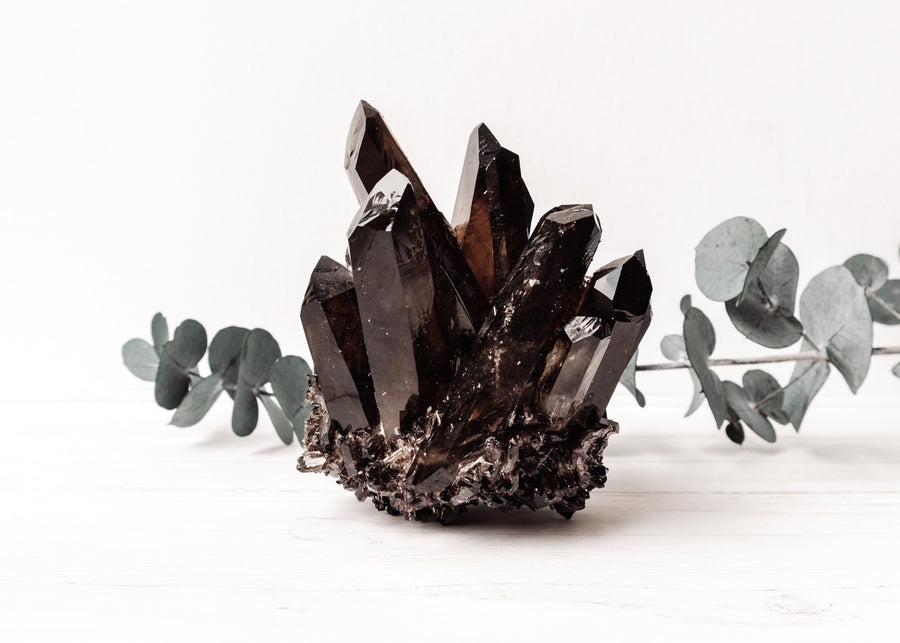 Smoky Quartz Cluster